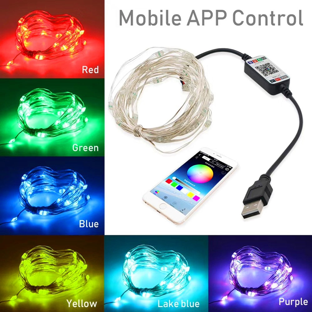 Bluetooth LED String Lights