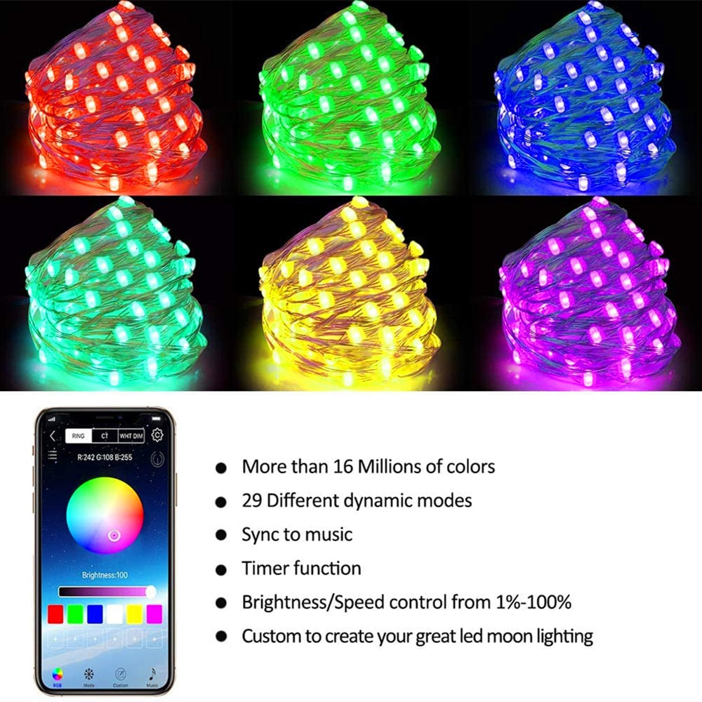 Bluetooth LED String Lights