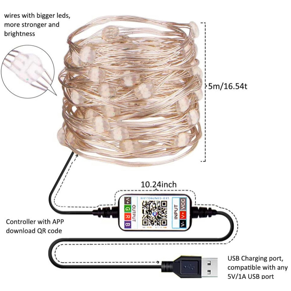 Bluetooth LED String Lights